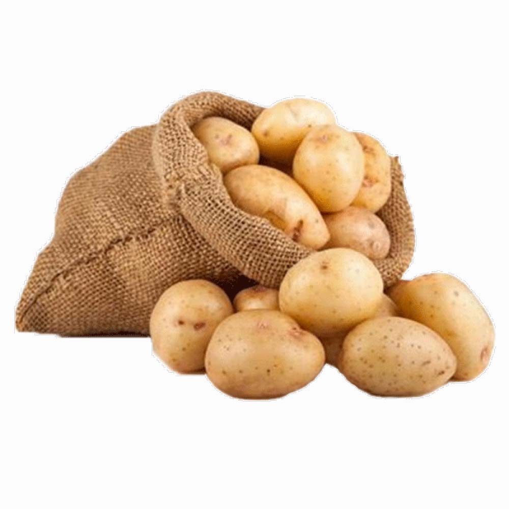 Potato Pakistan